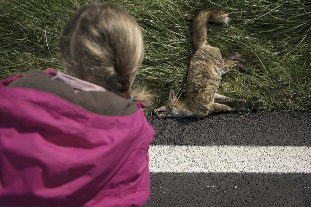 Reportage photographique — Alexandre Radicchi